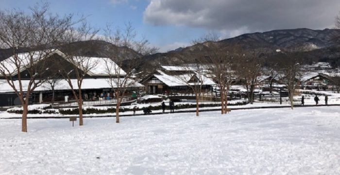 川場谷野営場の雪